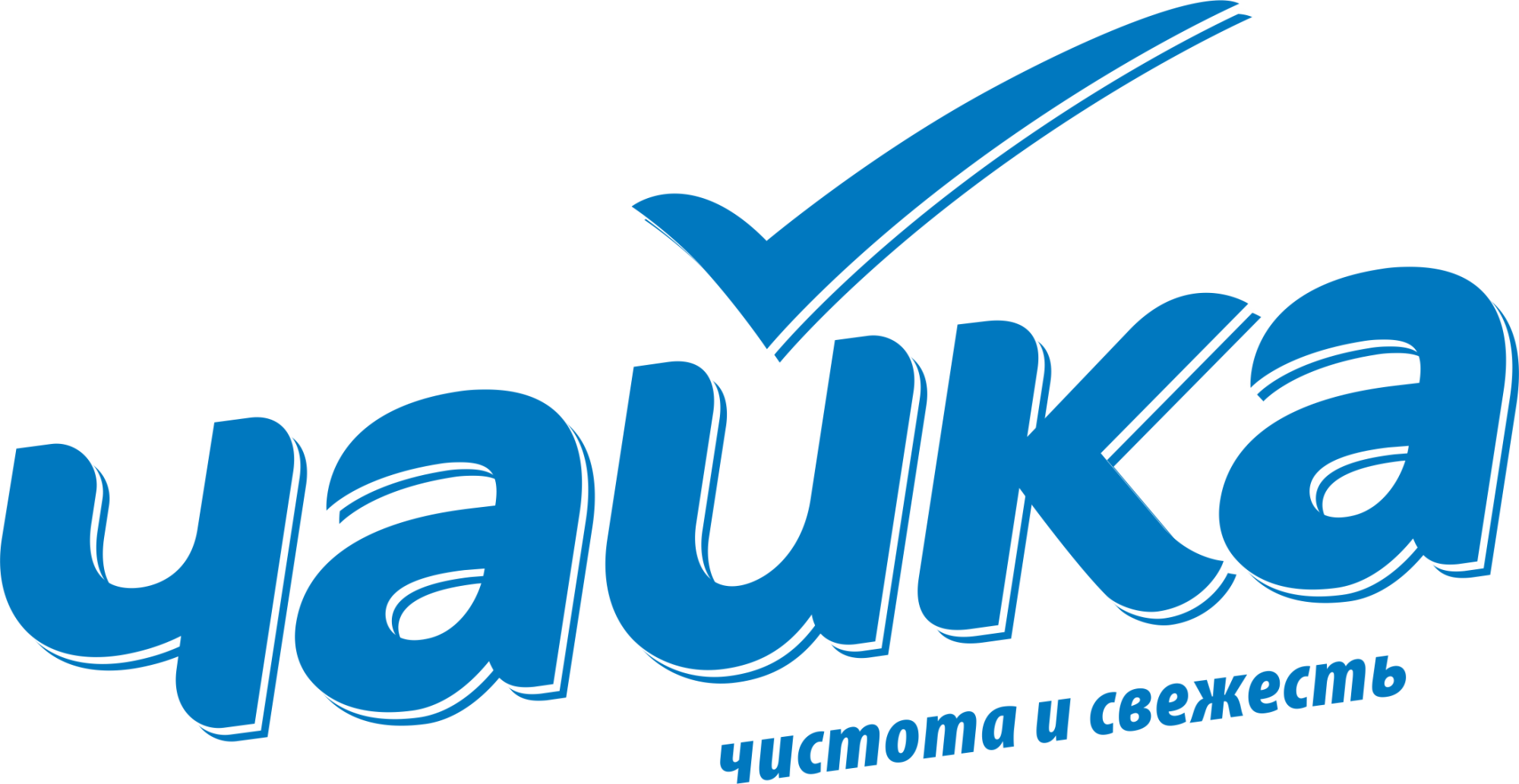 Чайка Чайка